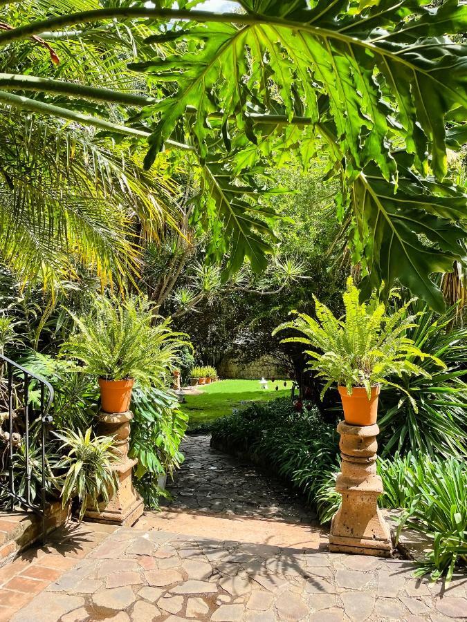 Casa Magdalena Hotel Boutique Morelia Luaran gambar
